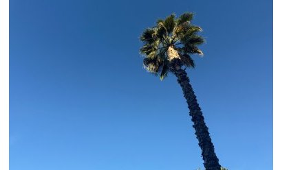 Resale - Apartment -
Lomas de Cabo Roig