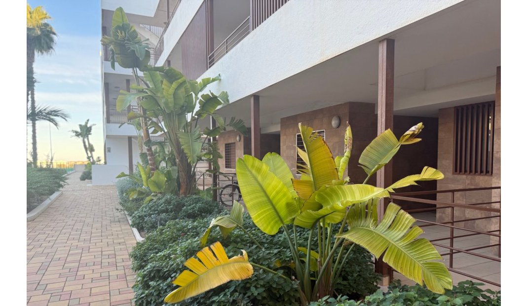 Resale - Apartment -
Lomas de Cabo Roig