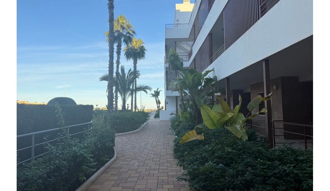 Resale - Apartment -
Lomas de Cabo Roig