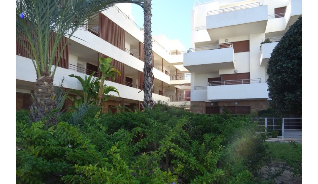 Resale - Apartment -
Lomas de Cabo Roig