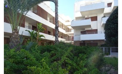 Resale - Apartment -
Lomas de Cabo Roig