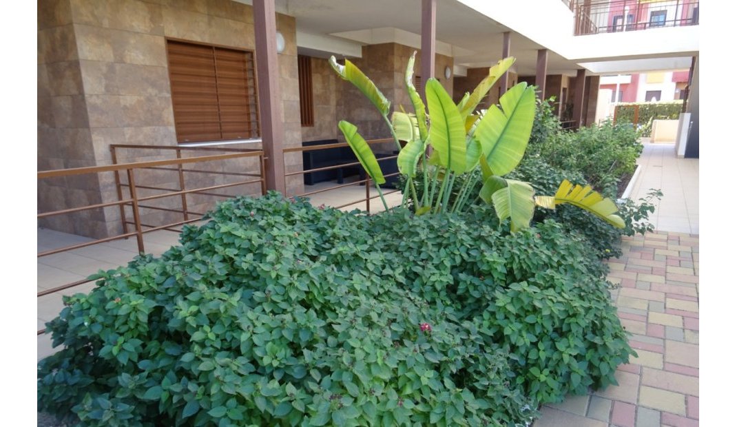 Resale - Apartment -
Lomas de Cabo Roig