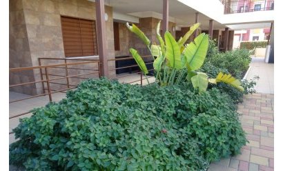 Resale - Apartment -
Lomas de Cabo Roig