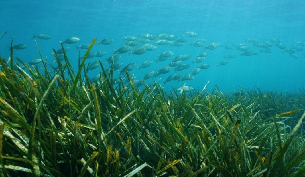 New Build - Villa -
Benissa - Racó Del Galeno