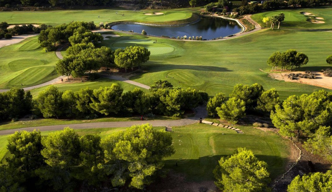 New Build - Villa -
Pilar de la Horadada - Lo Romero Golf