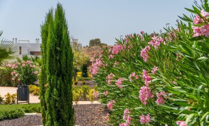 Nýbygging - Ground Floor Bungalow -
Orihuela - Vistabella Golf