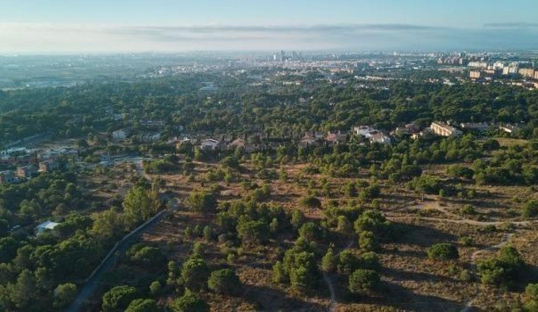 New Build - Apartment -
Godella - Campolivar