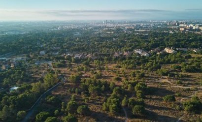 New Build - Apartment -
Godella - Campolivar